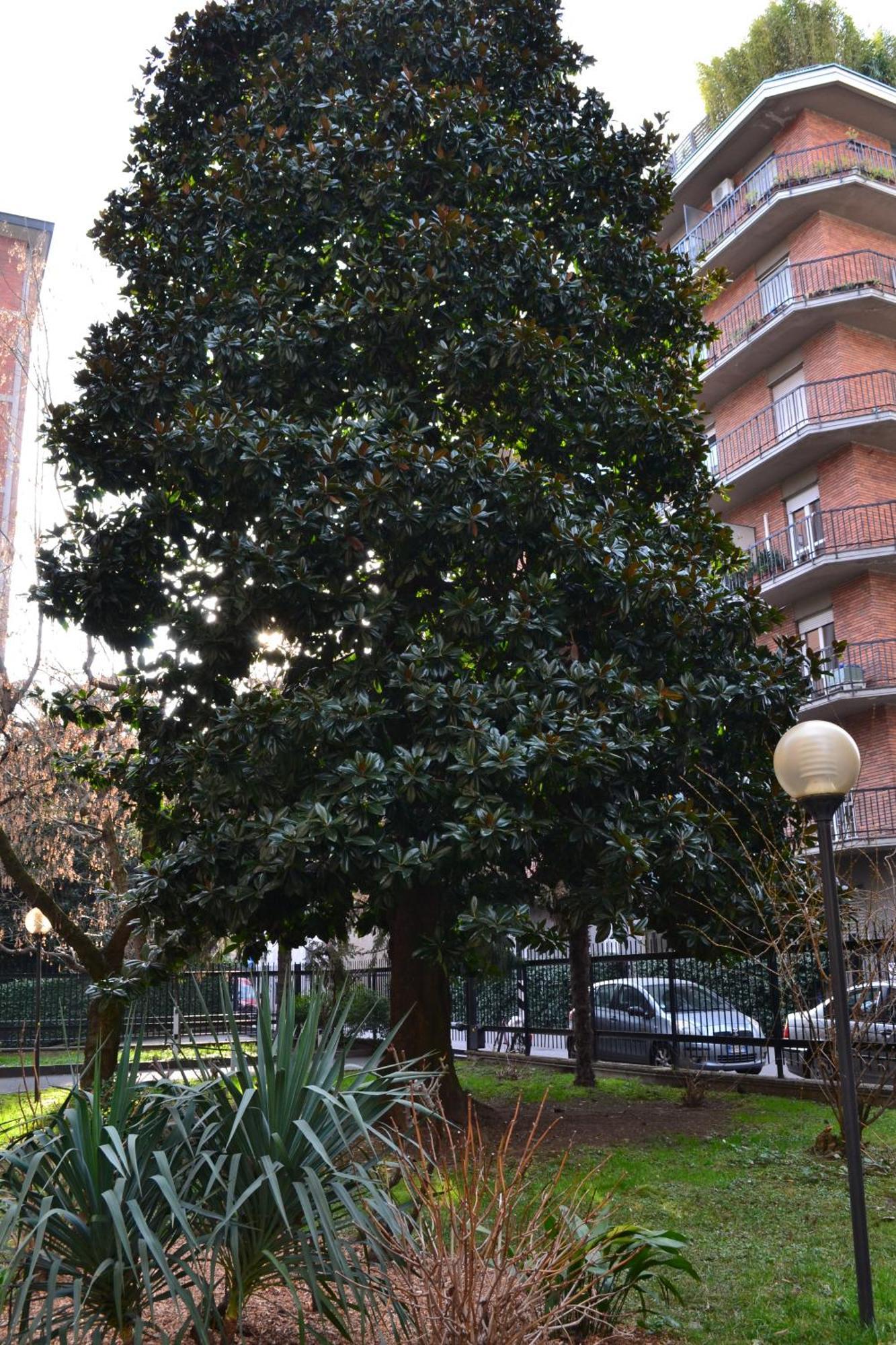 Mocenigo4 Apartment Milano Exterior foto